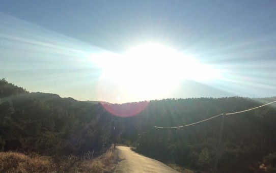 My Midlife Adventure: How it began