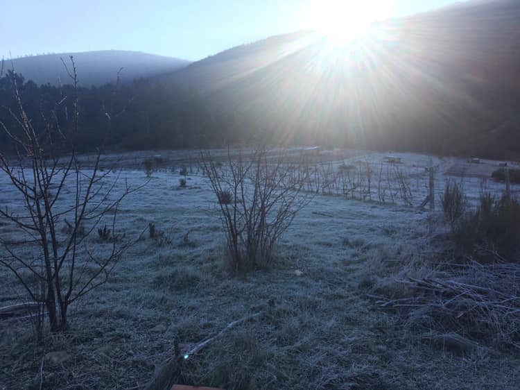 frosty morning portugal