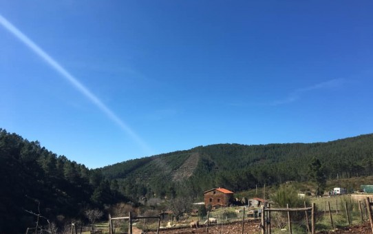 My Portugal Adventure: One Week In