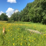 special place